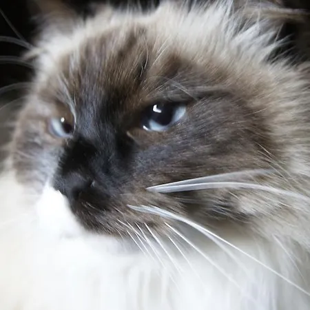 Casale Laurus Bed and breakfast