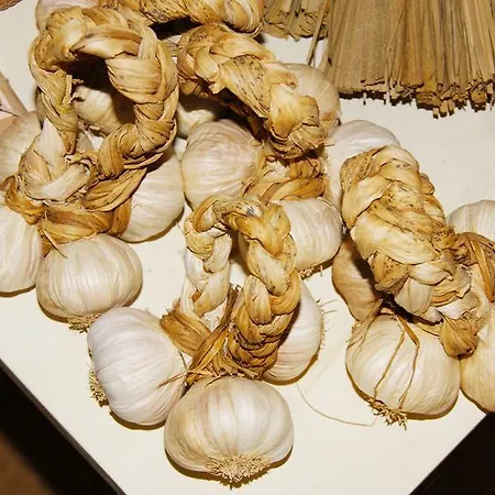 Oda ve Kahvaltı Casale Laurus *