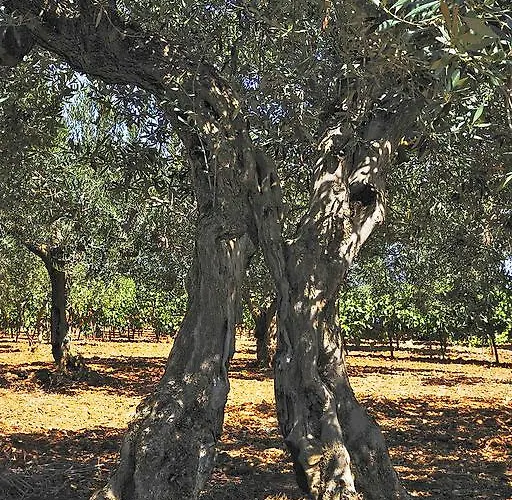 Casale Laurus Отель типа 