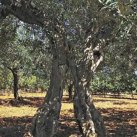 Casale Laurus Couette-café