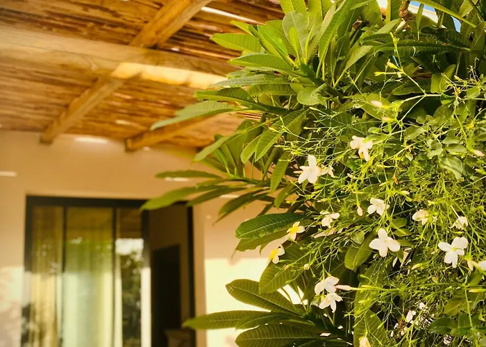 Casale Laurus 4* Locogrande
