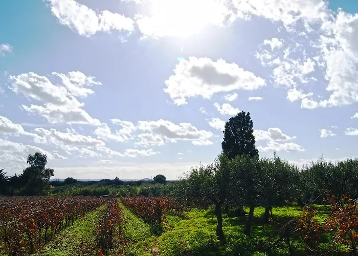 卡萨莱劳勒斯住宿加早餐旅馆 4*